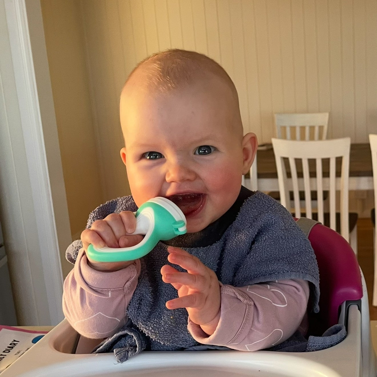 Fresh Food Silicone Feeder